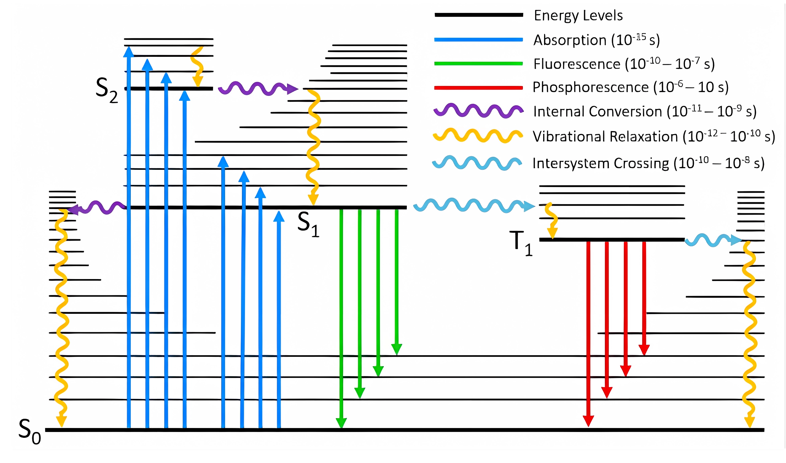Fig1